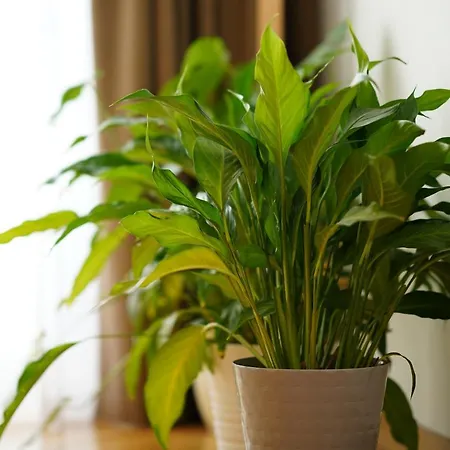 公寓 3 Podgorze Citybeat #3 *